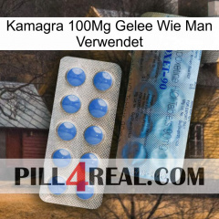 Kamagra 100Mg Jelly How To Use 40